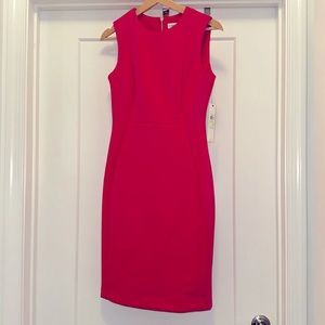 🌸 NWT! Pink CALVIN KLEIN Scuba Sleeveless Dress - Size 14